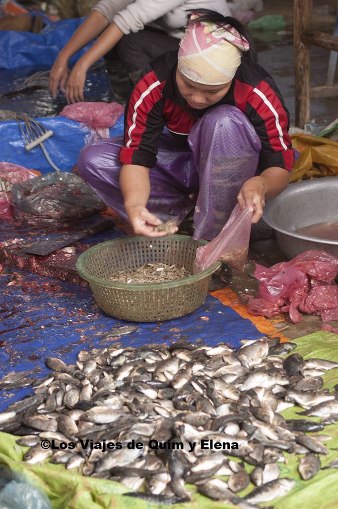 Vendiendo pescado en el mercado de Bac Ha