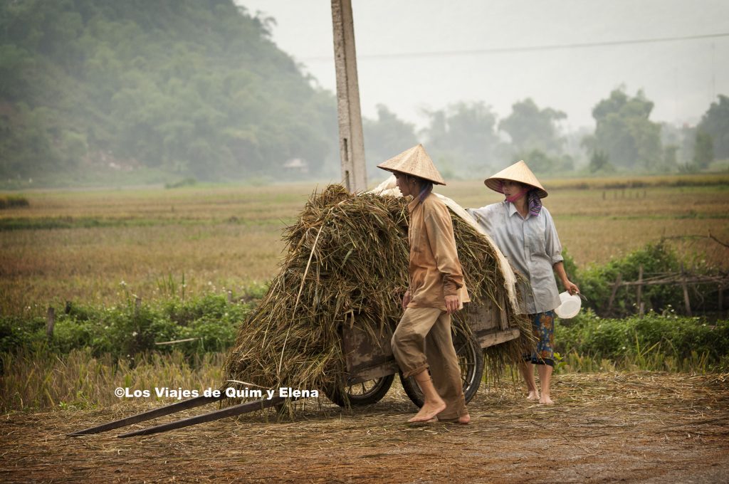 Mujeres trabajando