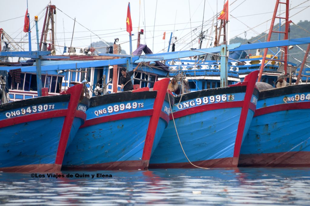 Barcos amarrados