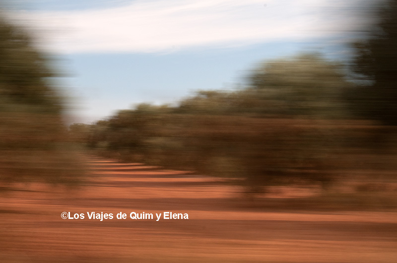 Jugando con la velocidad