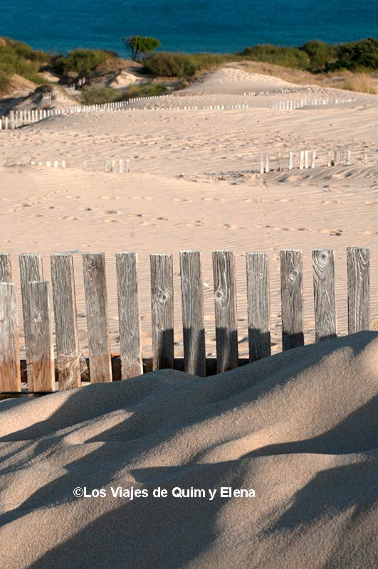 Dunas de Punta Paloma