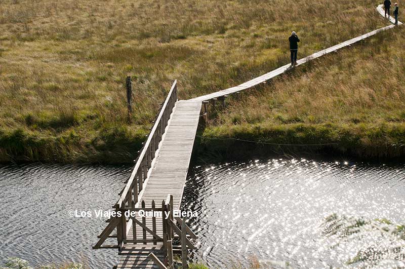 Camino a Strathconon, camino al Castillo Eilean Donan