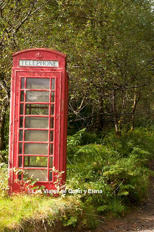 Si encuentras alguna seta puedes llamar, camino al Castillo Eilean Donan
