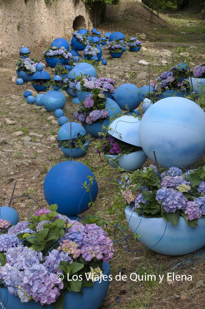 Temps de Flors