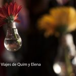 Propuestas muy originales en Temps de Flors