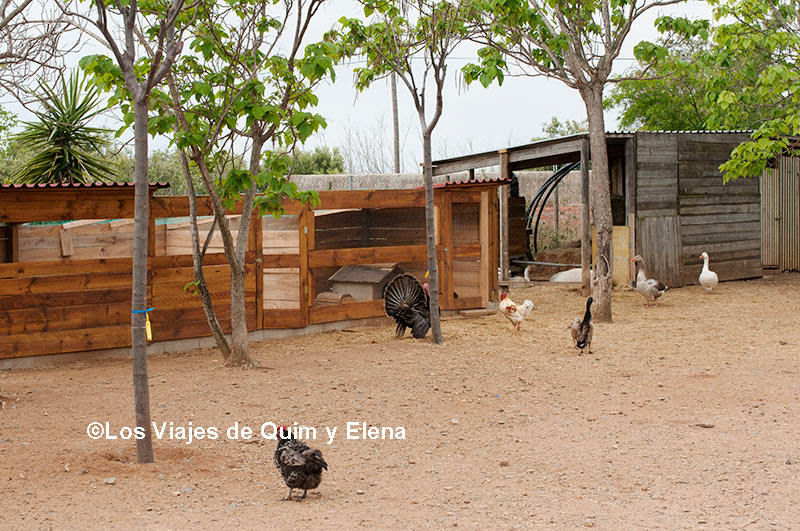 Granja del Ecocamping Vinyols