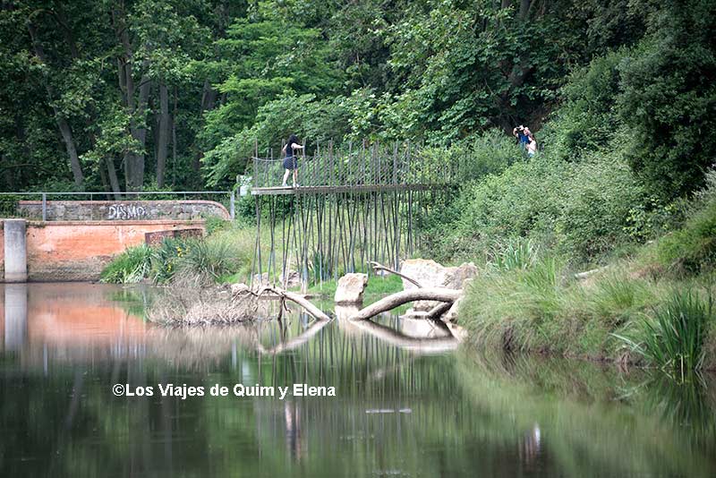 La pasarela sobre el agua