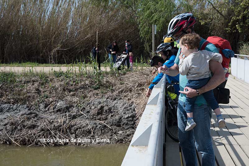 Quim y Álex mirando las tortugas