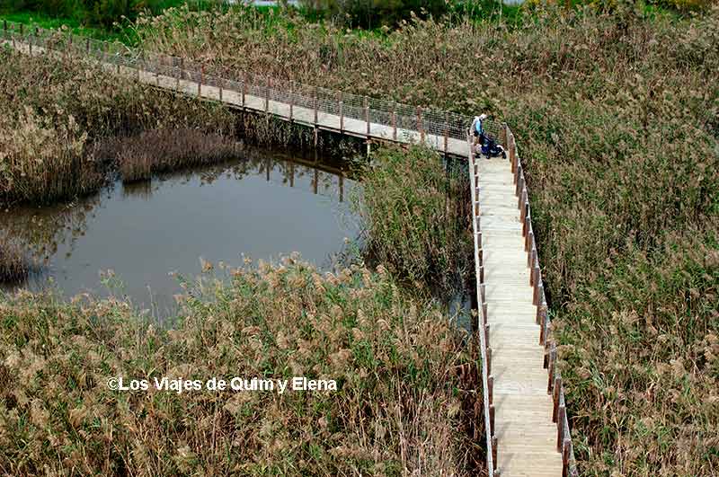 Vistas desde el Mirador de L'Illa