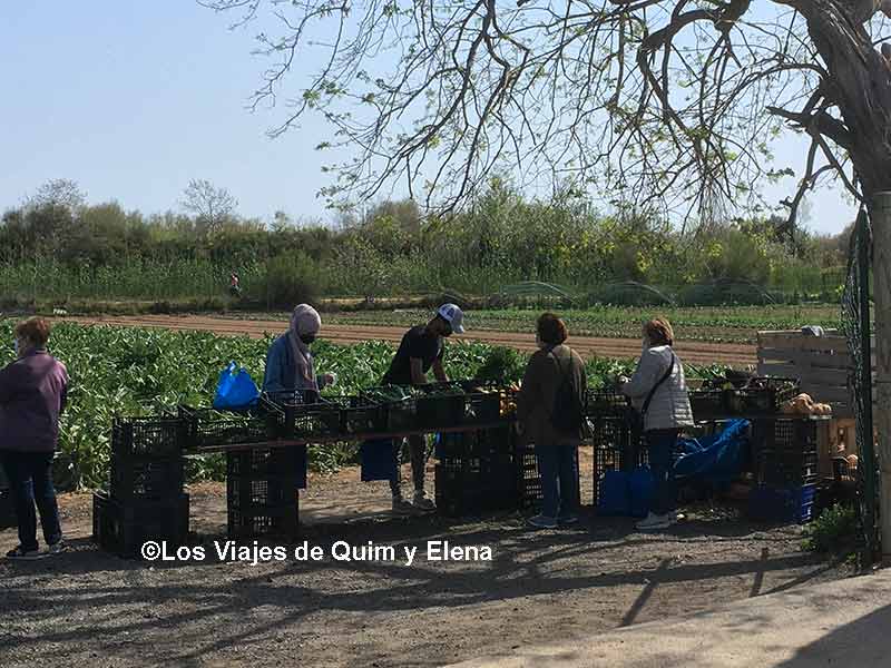 Puesto de venta en el Delta del Llobregat