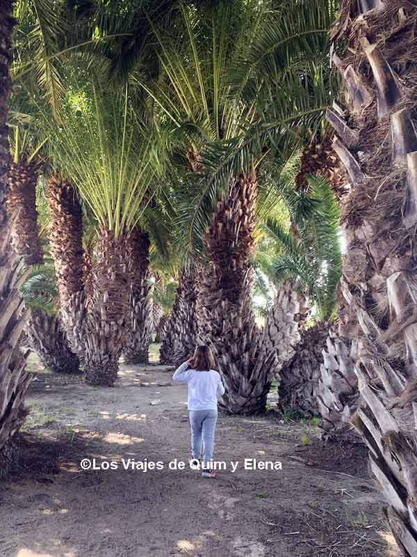 Éric buscando el tesoro