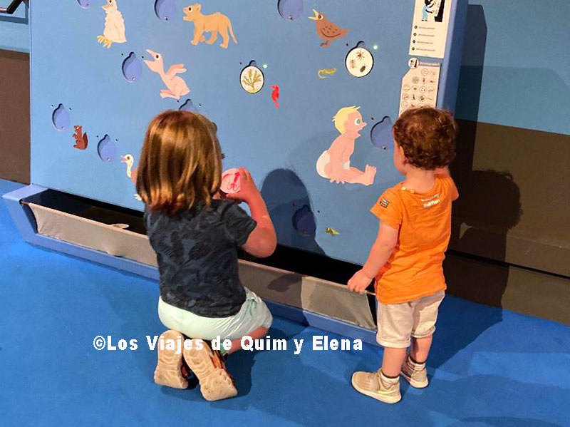 Álex y Éric en la exposición "Bebès Animals"