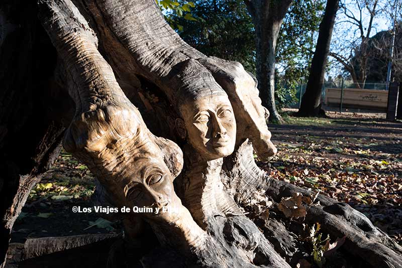 Árbol con caras talladas en Francia