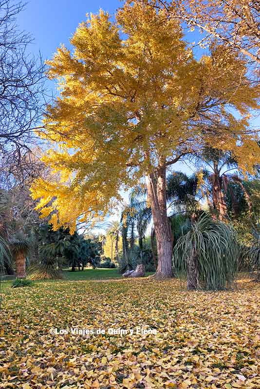 Jardín Botánico en Saint-Cyprien, Francia