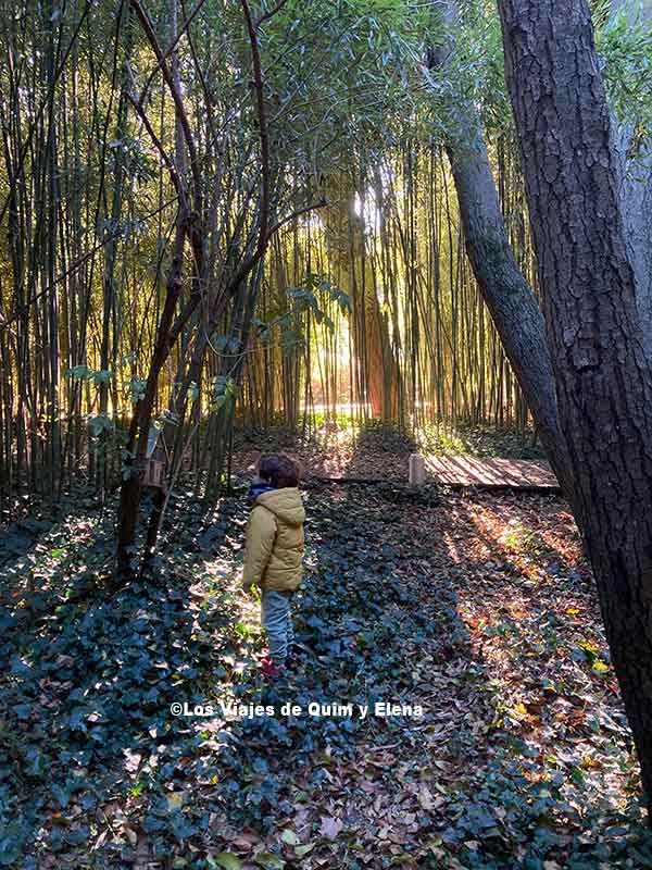 Álex explorando Les Jardins des Plantes