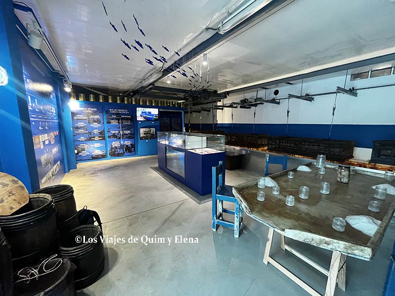 Interior del museo de Anxoves Solés