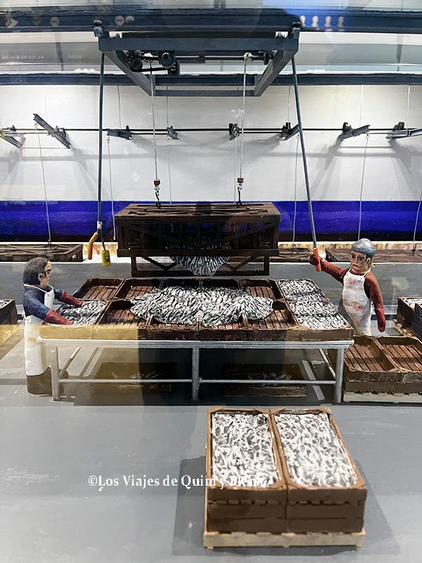 Sistema de producción mejorada en la elaboración de la anchoa