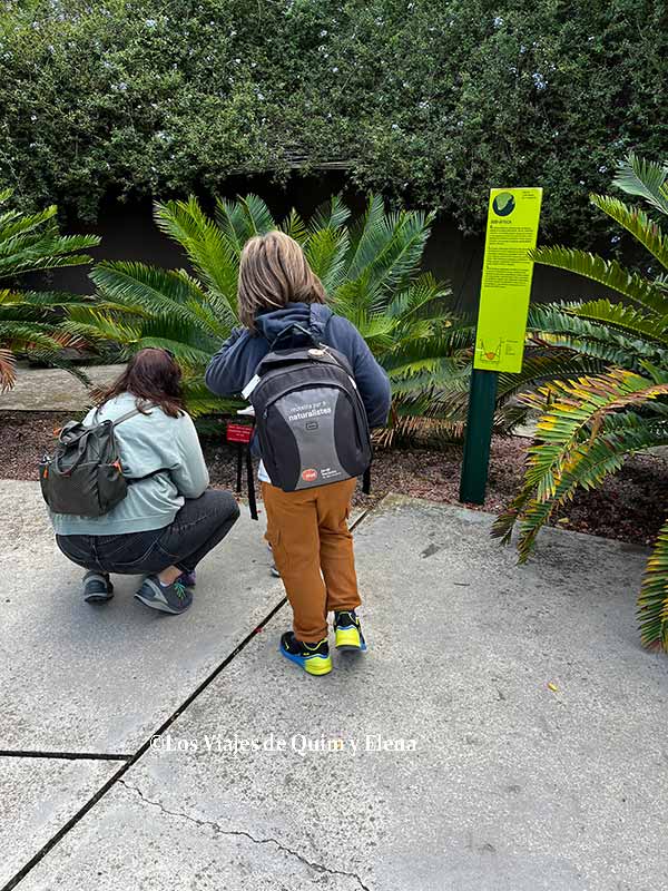 Mochila para Naturalistas del Jardín Botánico