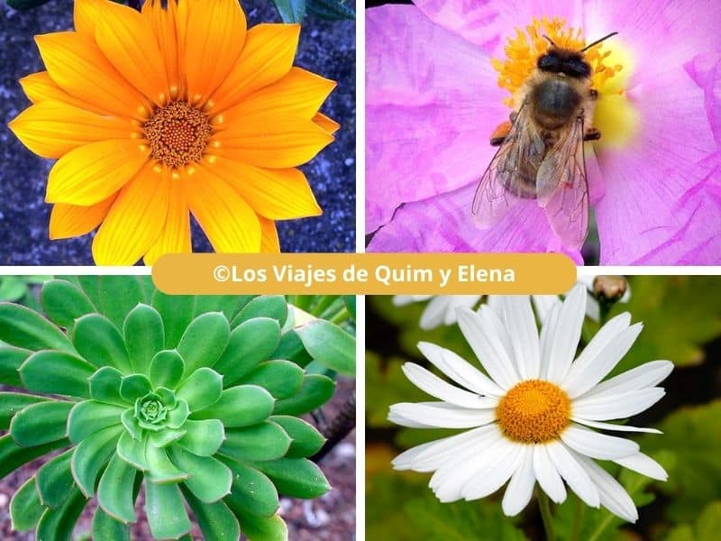 Jardín Botánico de Barcelona