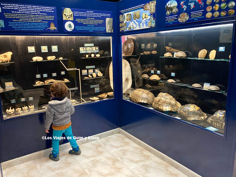 Álex en la última sala del centro de protección