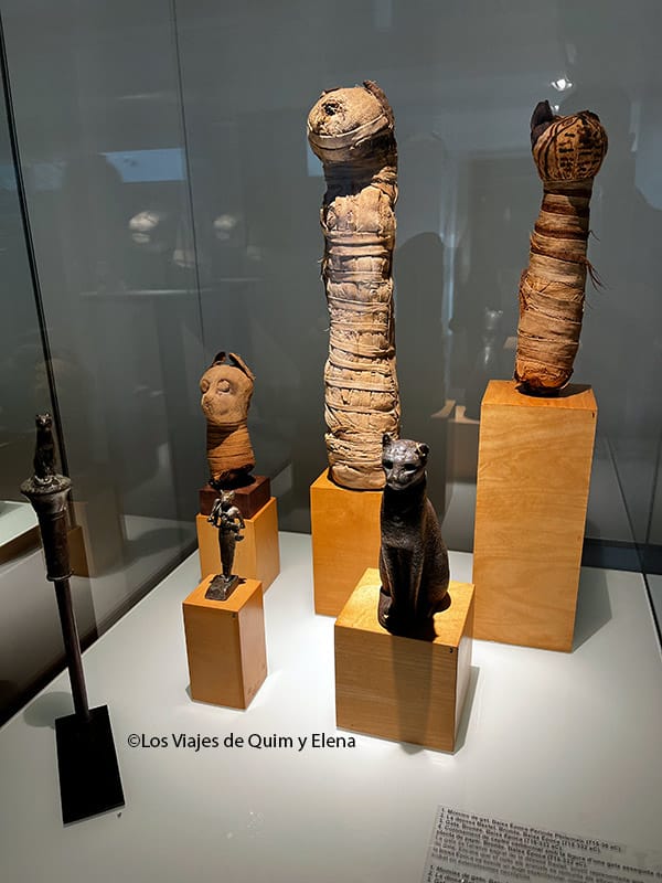 Momias de mascotas en el Museo Egipcio de Barcelona
