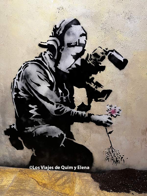 El cámara y la flor