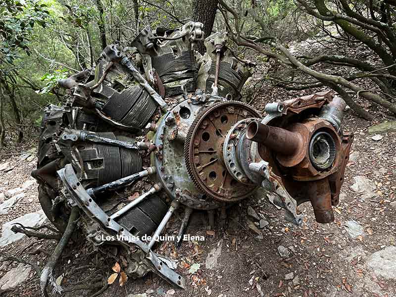 Uno de los motores del avión de Requesens