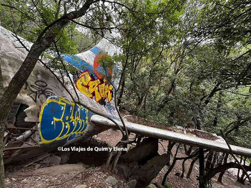Cola del avión estrellado de Requesens en Girona 