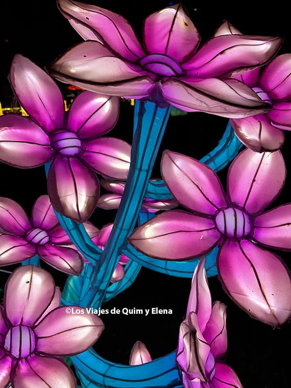 Farolillos muy bonitos en Céret