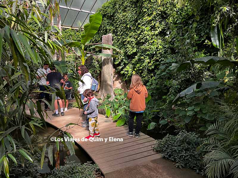 Descubriendo Butterfly Park