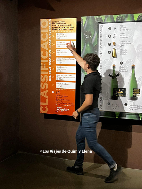 Aprendiendo la elaboración del cava con el guía