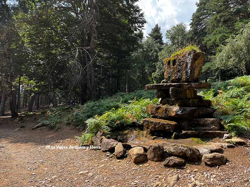Un rincón del parque