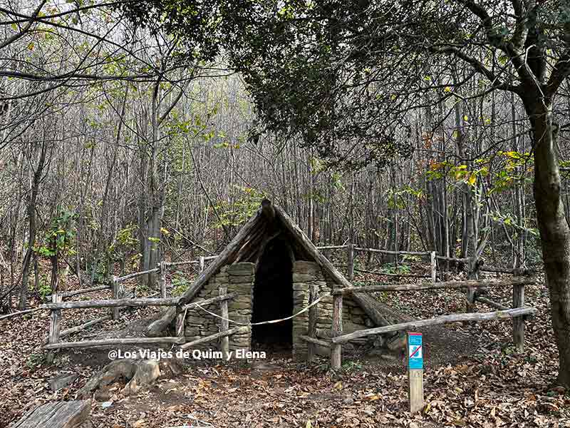 Caballa de un carbonero en el Sot de l'infern en el Montseny